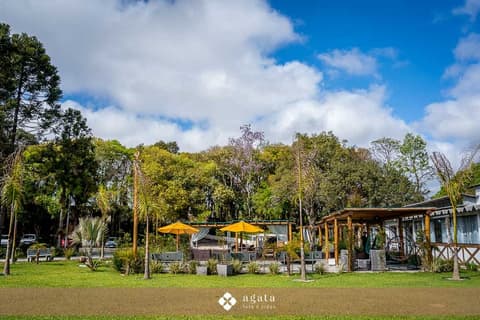 Área externa com pergolados, ombrelones amarelos, palmeiras e gramado em dia de sol