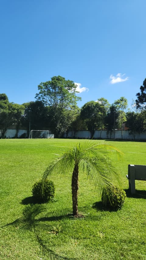 Campo de futebol gramado cercado por árvores na chácara para eventos em Colombo